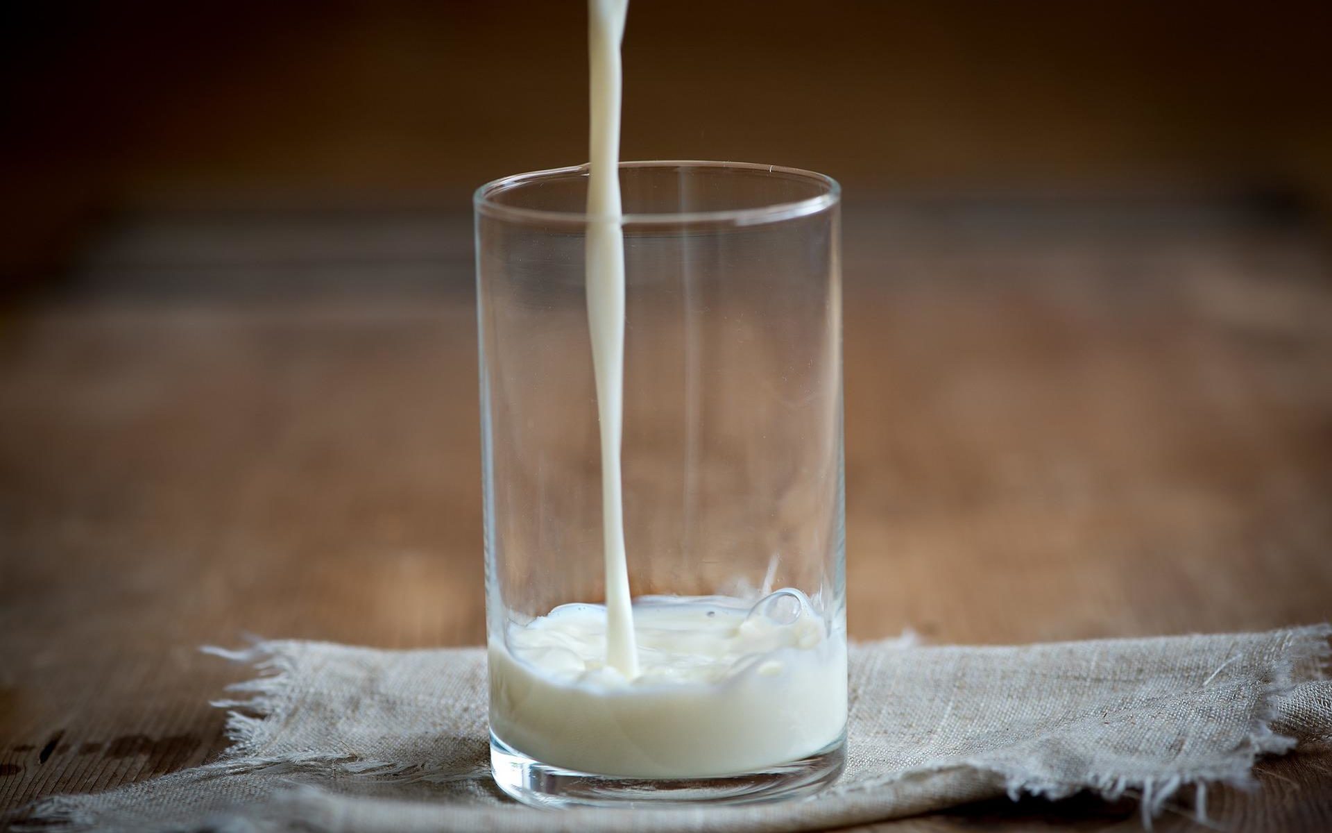 Le lait : comment s'y retrouver ?